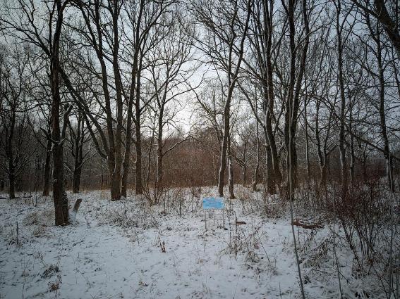 ПАРК «ДРУЖБА» В ГОРОДЕ ВЛАДИМИР. ПРИЗЫВ О ПОМОЩИ.