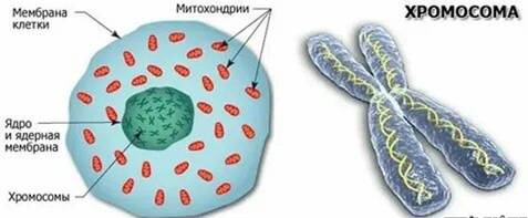 https://avatars.mds.yandex.net/i?id=b1b1e23edf52ba1cd2ec8b1502e6ea5fdfa277e5-5887217-images-thumbs&n=13