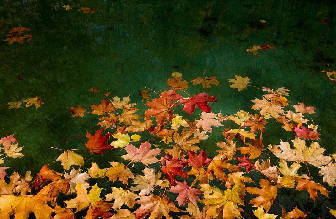 Picture background